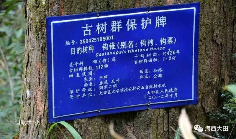 板栗,这种营养丰富的坚果,在我国已有几千年的栽培历史。你是否知道如何选购和烹饪出美味的板栗呢?本文将从行业角度分析板栗市场,并结合实际案例分享一些实用技巧。